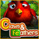 Claws & Feathers game