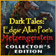 Dark Tales: Edgar Allan Poe's Metzengerstein Collector's Edition game