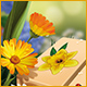 Springtime Mahjongg 2 game